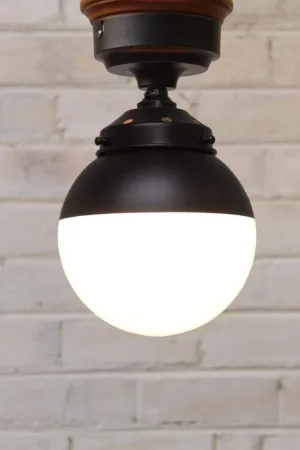 Crown Sphere Flush Mount Light