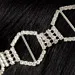 Crystal Bridal Headband/Belt with Suede Ties