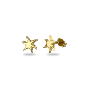 Star Earrings